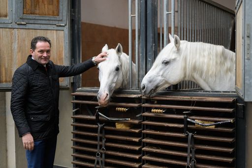 Zusätzlich zur Klassichen Reitkunst wird nun auch das Wissen um
die Lipizzanerzucht im Gestüt Piber als Kulturerbe der Menschheit
deklariert.