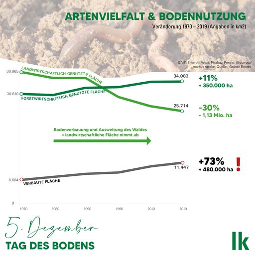 Vorschau Bild von Während die landwirtschaftliche Nutzfläche abnimmt,
steigen verbaute Flächen und Wälder.