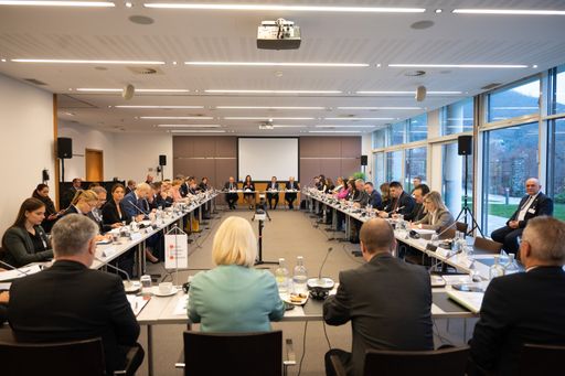 Vorschau Bild von CEDC WB Treffen in Krems am 02. Dezember
2022....Foto:BMLV/Laura Heinschink