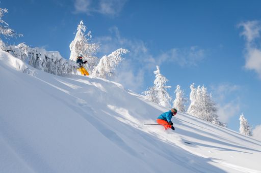Vorschau Bild von Ski Guide Austria Award Gewinner Gerlitzen