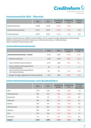 Vorschau Bild von Creditreform Insolvenzstatistik 2022