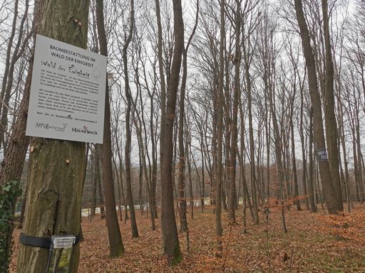 Am 1. Dezember 2022 hat die Naturbestattung
Zadrobilek einen neuen „Wald der Ewigkeit“ in Mauerbach (NÖ) in
Betrieb genommen. Die Pionierin der Naturbestattung ergänzt mit
einem wunderschönen Wald zur Baumbestattung das Angebot westlich von
Wien.