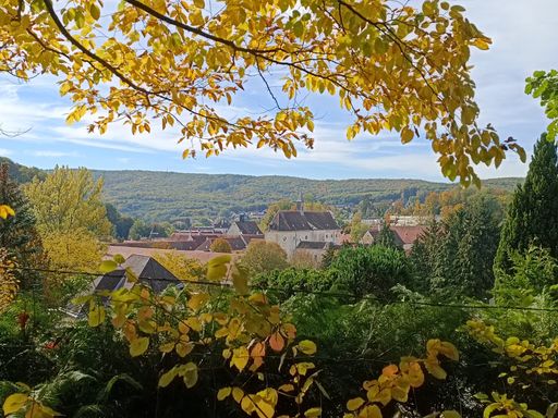 Vorschau Bild von Am 1. Dezember 2022 hat die Naturbestattung
Zadrobilek einen neuen „Wald der Ewigkeit“ in Mauerbach (NÖ) in
Betrieb genommen. Die Pionierin der Naturbestattung ergänzt mit
einem wunderschönen Wald zur Baumbestattung das Angebot westlich von
Wien.