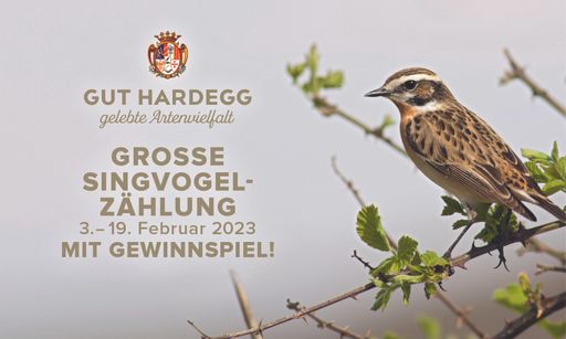  Sujet der Singvogelzählung 2023