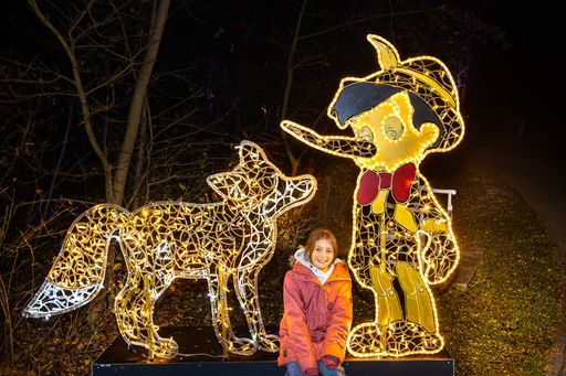 Vorschau Bild von ILLUMINA Lichtergarten Schloss Laxenburg