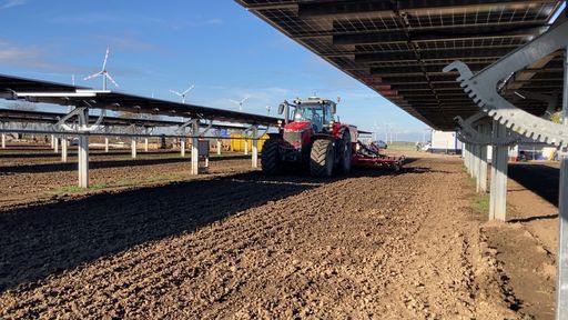 Vorschau Bild von Agri-PV-Anlagen wie das EWS Sonnenfeld ermöglichen
die Doppelnutzung am Feld zur gleichzeitigen Solarstrom- und
Lebensmittelproduktion.