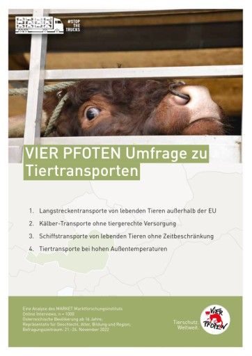 Vorschau Bild von Die Ergebnisse der VIER PFOTEN Umfrage