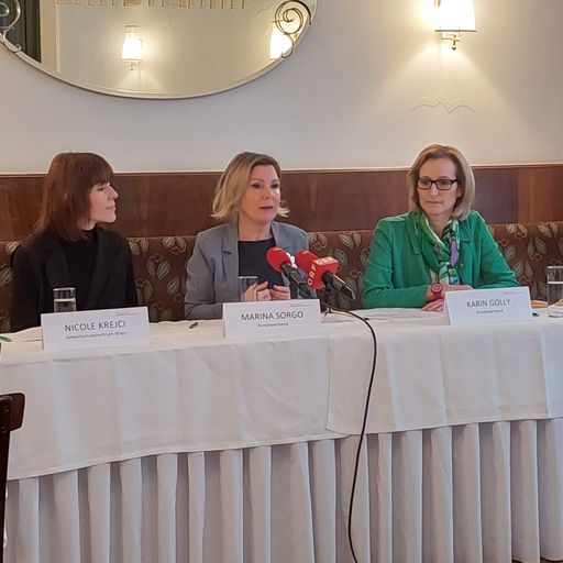 Pressekonferenz des Bundesverbandes der
Österreichischen Gewaltschutzzentren am 27.01.2023