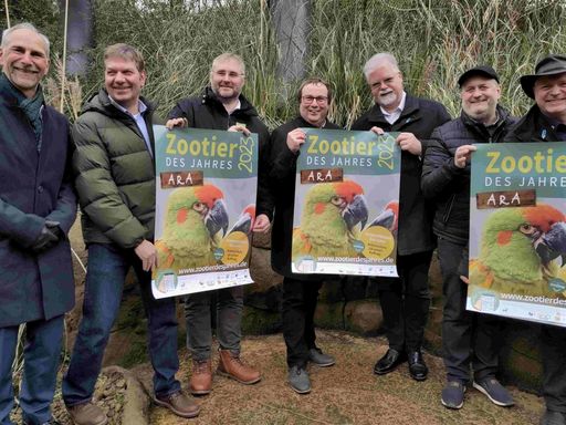 Vorschau Bild von Vorstellung des Zootier des Jahres 2023: Der Ara. Mit Dr. Arne
Lawrenz (Direktor Grüner Zoo Wuppertal, Volker Homes (Verband der
Zoologischen Gärten), Dr. Nils Kramer (Vorstand DTG, Direktor
Tierpark Nordhorn), Oliver Krischer (Minister für Umwelt,
Naturschutz und Verkehr des Landes Nordrhein-Westfalen), Bruno
Hensel (Präsident der GdZ, 1. Vorsitzender Zoo-Verein Wuppertal, Dr.
Jens-Owe Heckel (Vorsitzender ZGAP, Direktor Zoo Landau), Dr. Seven
Hammer (ZGAP-Vorstandsmitglied) / Die Verwendung dieses Bildes für
redaktionelle Zwecke ist unter Beachtung aller mitgeteilten
Nutzungsbedingungen zulässig und dann auch honorarfrei.
Veröffentlichung ausschließlich mit Bildrechte-Hinweis.