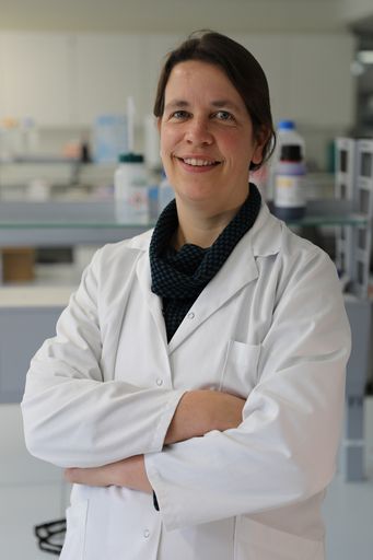 Forschungsleiterin FH-Prof. Priv.-Doz. Dr. Geja
Oostingh (im Bild) untersucht gemeinsam mit Forscherin Anja
Schuster, PhD, B.rer.nat., MA.rer.nat. im Forschungsprojekt
„OxiWoundWood“ den Wundheilungsprozess durch Stoffe aus der
Baumrinde.