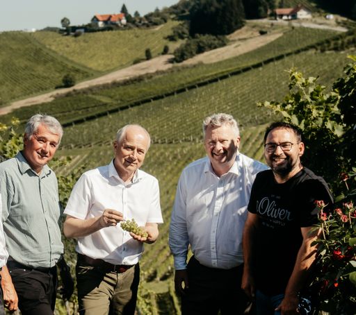  Weinbaudirektor Werner Luttenberger, Landesrat Hans
Seitinger, Österreich Wein-Geschäftsführer Chris Yorke und
Weinbaupräsident Stefan Potzinger