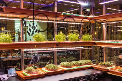 Vorschau Bild von 3_Pressephoto_Luis_Gardens_Indoor Farm