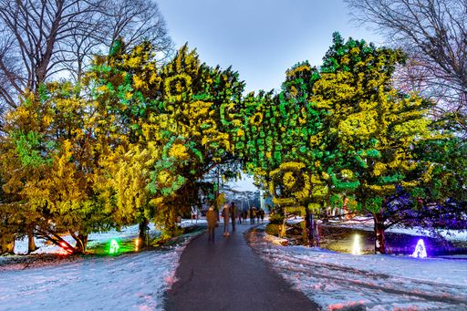 Vorschau Bild von ILLUMINA Lichtergarten Schloss Laxenburg