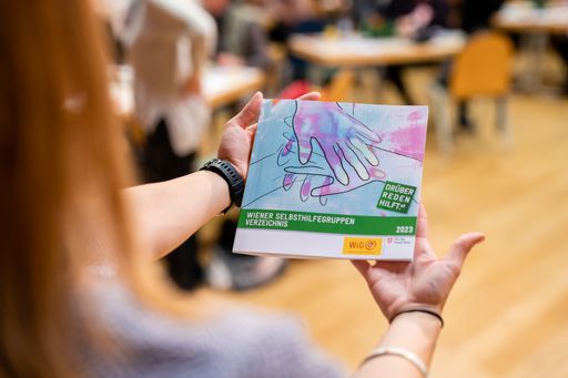 Das neue Wiener Selbsthilfegruppen-Verzeichnis
wurde beim ersten Selbsthilfe-Stammtisch 2023 im Louis Braille Haus
vorgestellt.