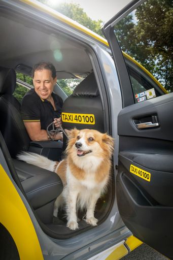Vorschau Bild von Taxilenker Peter freut sich immer über tierische
Gäste. Hunde müssen in einem Taxi im Fußraum sitzen.
