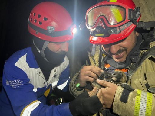  Hundewelpen zaubern Rettungskräften trotz der
furchtbaren Situation ein Lächeln ins Gesicht