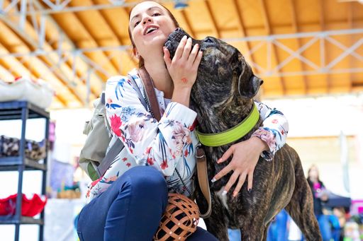Die Haustiermesse ist die perfekte Messe für alle
Hundefreunde