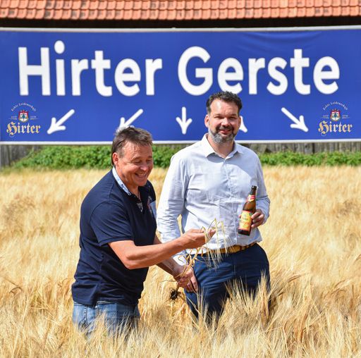 Hirter Gerstenfeld, Braugerste