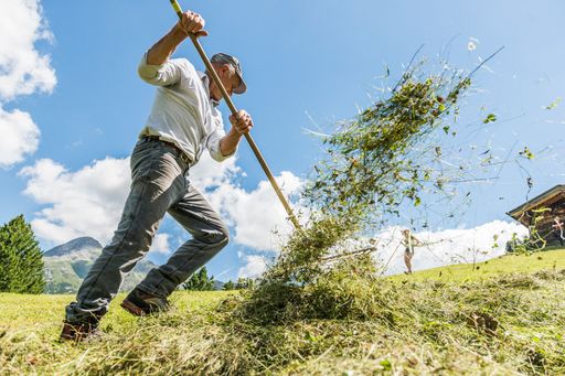 Heuwirtschaft ist ursprünglichste Form der
Milchwirtschaft!