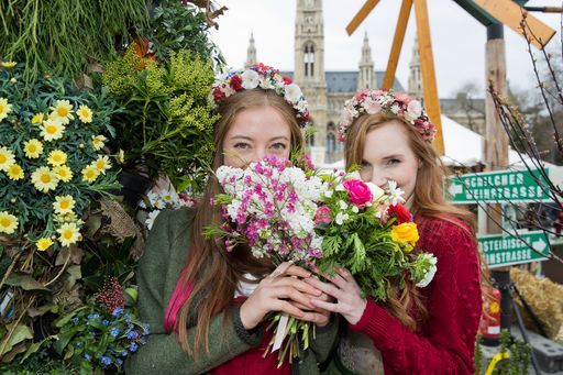  Steiermark-Frühling in Wien