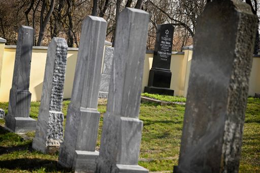 Vorschau Bild von Jüdischer Friedhof in Oberstockstall