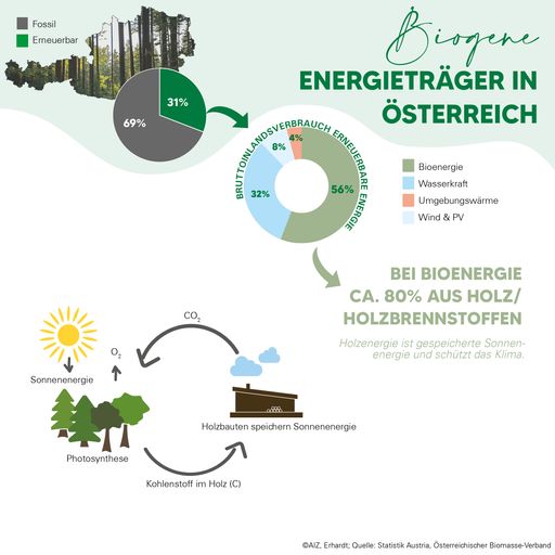 Die Bedeutung biogener Energieträger wie Holz in
Österreich.