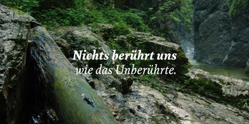 Vorschau Bild von Nationalpark Kalkalpen