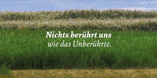 Vorschau Bild von Nationalpark Seewinkel