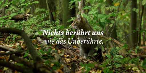 Vorschau Bild von Nationalpark Thayatal