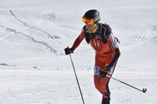 Vorschau Bild von Heeressport Ski Weltmeisterschaften