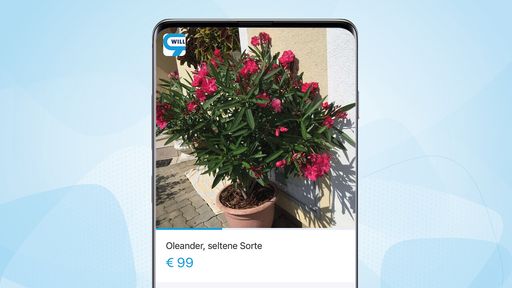 willhaben-Check: Das sind heuer die beliebtesten
Pflanzen für den Garten, den Balkon und die Terrasse