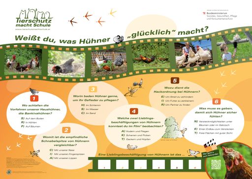 Dieses Lernposter ist Teil des Begleitmaterials zum
Schulfilm "Augen auf für Hühner" vom Verein Tierschutz macht Schule.
Es kann kostenlos, exkl. Versand, bestellt werden. Der Film ist auf
der Website abrufbar. Info: www.tierschutzmachtschule.at (unter
Service)