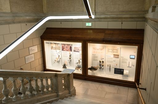 Geschichtsvitrine im NHM Wien