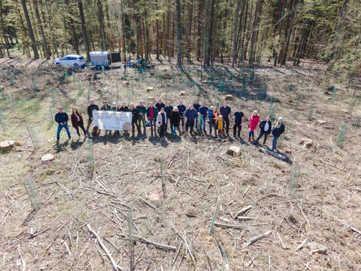 Vorschau Bild von Gemeinsam mit dem Waldverband pflanzten rund 18
Mitarbeitende von PIA über 300 Bäume.