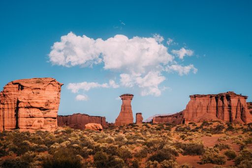 Nationalpark Talampaya, Rioja-Provinz, Argentinien / Die
Verwendung dieses Bildes für redaktionelle Zwecke ist unter
Beachtung aller mitgeteilten Nutzungsbedingungen zulässig und dann
auch honorarfrei. Veröffentlichung ausschließlich mit
Bildrechte-Hinweis.
