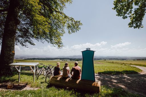 Vorschau Bild von E-Bike Urlaub Key Visual Frienisberg