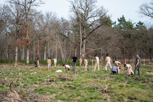  Chambord - Bäume werden von Pfadfindern per Hand geplanzt.
Weiterer Text über ots und www.presseportal.de/nr/64783 / Die
Verwendung dieses Bildes für redaktionelle Zwecke ist unter
Beachtung aller mitgeteilten Nutzungsbedingungen zulässig und dann
auch honorarfrei. Veröffentlichung ausschließlich mit
Bildrechte-Hinweis.