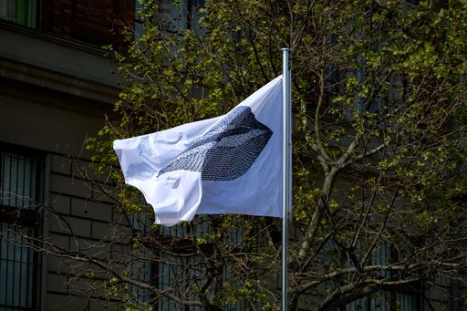 Vorschau Bild von Thomas Bayrle, Einkaufen, 1991/2023, raising flags,
museum in progress, Flagge