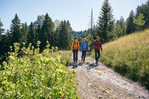 Gästekarten können Gästen Erlebnisse und Mehrwert
bieten, sie steigern die Zufriedenheit, fördern den regionalen
Tourismus, verbessern die Wettbewerbsfähigkeit und sind ein
Instrument zur Marktforschung und damit auch für zukünftige
(Marketing)Aktionen. Mit der GästeCard Bregenzerwald & Großes
Walsertal gibt es kostenlos Fahrten mit den Bergbahnen und den
öffentlichen Bussen, darüber hinaus den Gratis Eintritt in den
Freibädern.