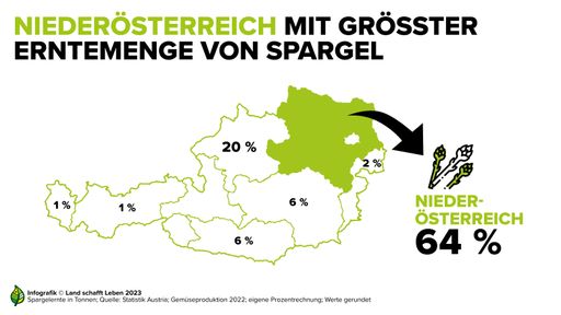 Erntemenge von Spargel nach Bundesländern