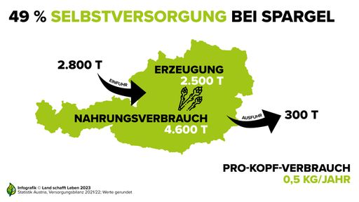 Vorschau Bild von Selbstversorgung mit Spargel in Österreich