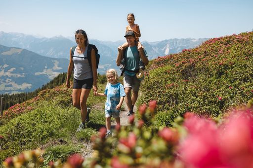 Vorschau Bild von Im Alpbachtal und in der Wildschönau warten
zahlreiche Wanderwege, die mit beeindruckendem Panorama bei Klein
und Groß punkten.