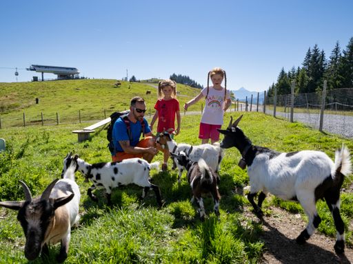 Vorschau Bild von Kleine Bergfexe entdecken am liebsten die
Bergerlebniswelten oder besuchen die Tiere im Streichelzoo.