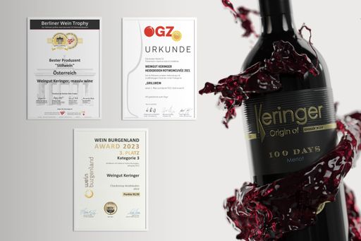 Vorschau Bild von Urkundensammlung - aktuelle Bewerbe - Keringer