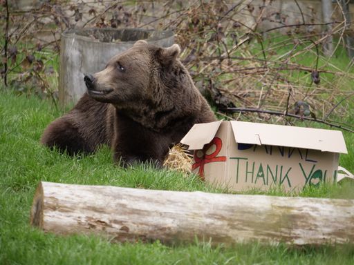 Vorschau Bild von Bär Erich mit seinem
Bärenwald-Geburtstags-Leckerli-Packerl