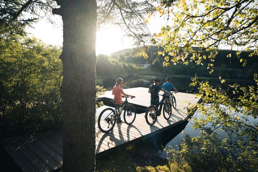 Vorschau Bild von Drei Radfahrer auf dem Steg beim Tannermoor.