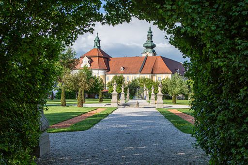 Vorschau Bild von Lebensqualität trotz Diabetes