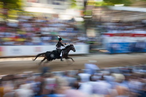  Bei den AlkaDays auf der Trabrennbahn in Baden
kommt auf die Zuschauer am Samstag, den 17. Juni, ein rasantes
Spektakel zu – bei freiem Eintritt!