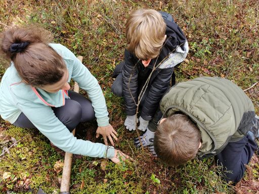Volksschüler:innen von Finkenberg und Nina
Schleifer beim Sträucherpflanzen für einen klimafitten Wald