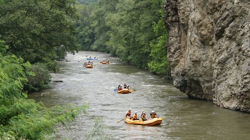 Vorschau Bild von Rafting am Fluss Struma
